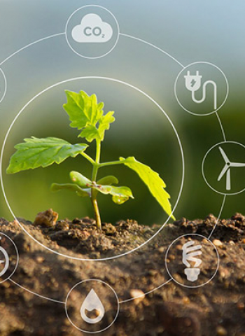 Sustentabilidade: Uma Agenda Inadiável